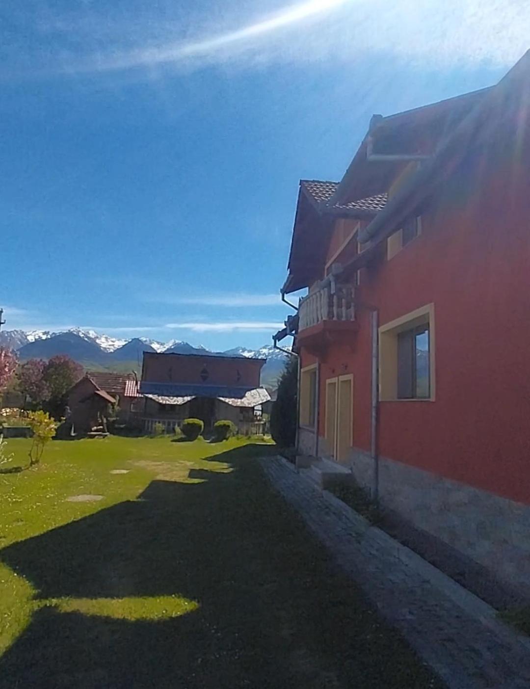 Serena House Cîrţişoara Exterior foto