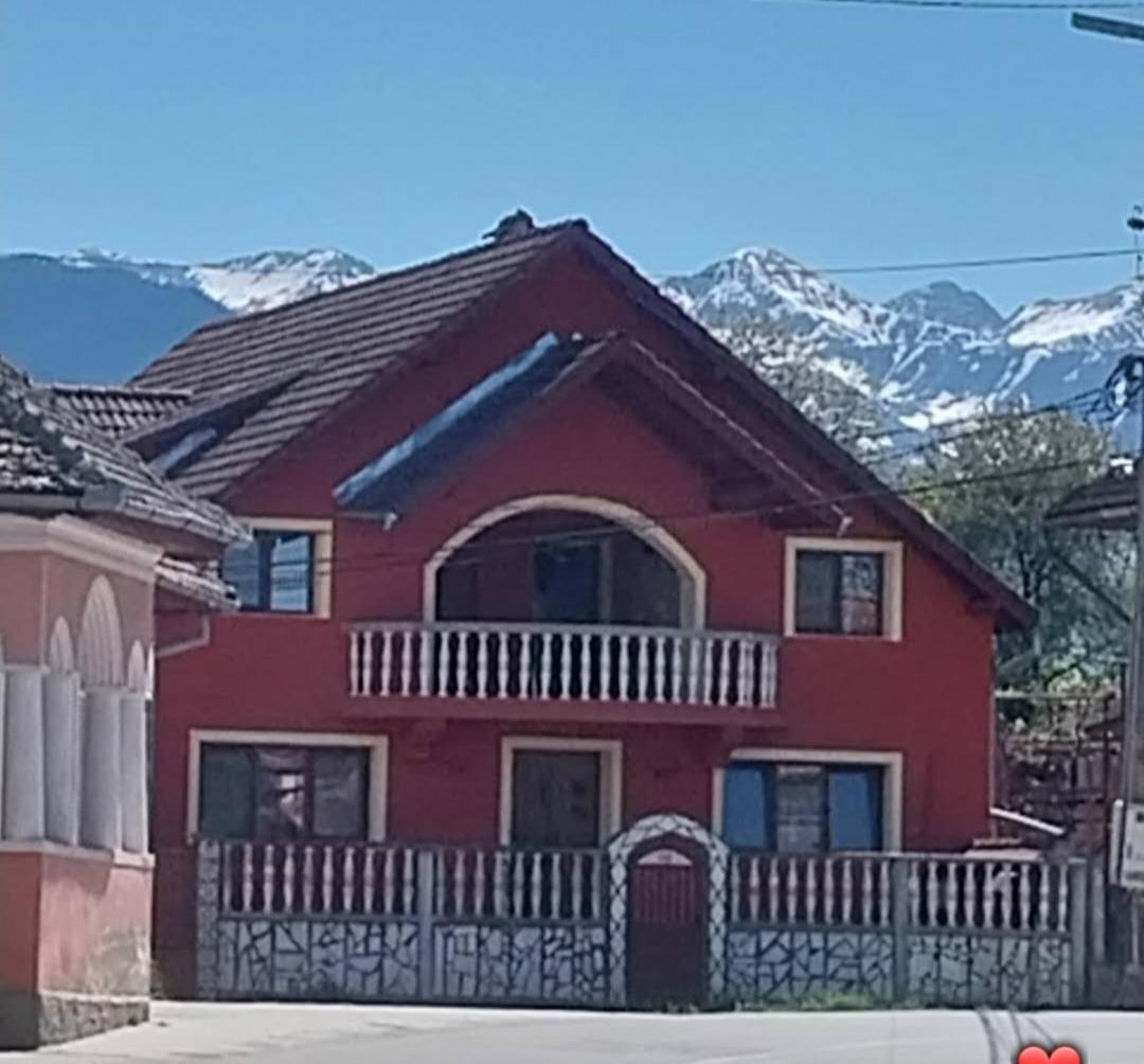 Serena House Cîrţişoara Exterior foto